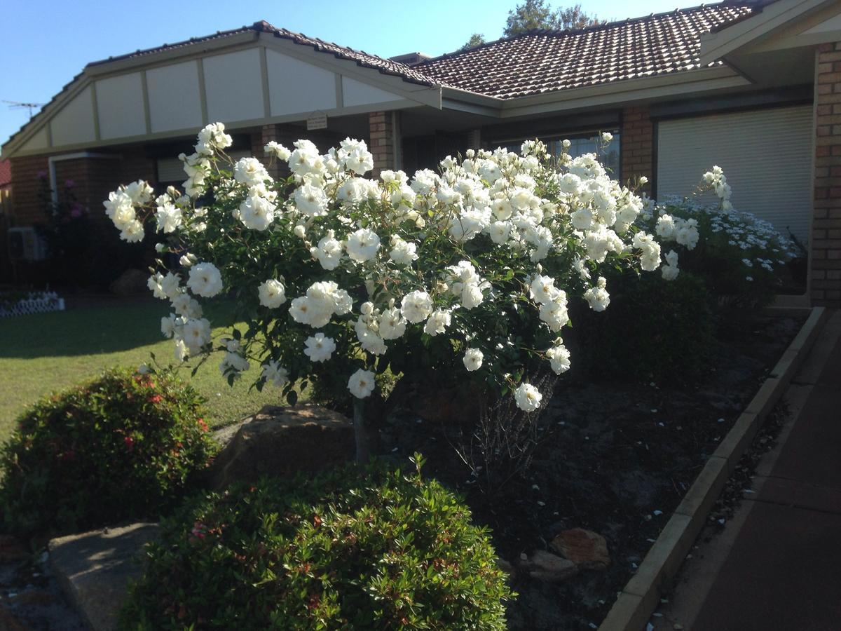 Murdoch Station Bed & Breakfast Perth Dış mekan fotoğraf